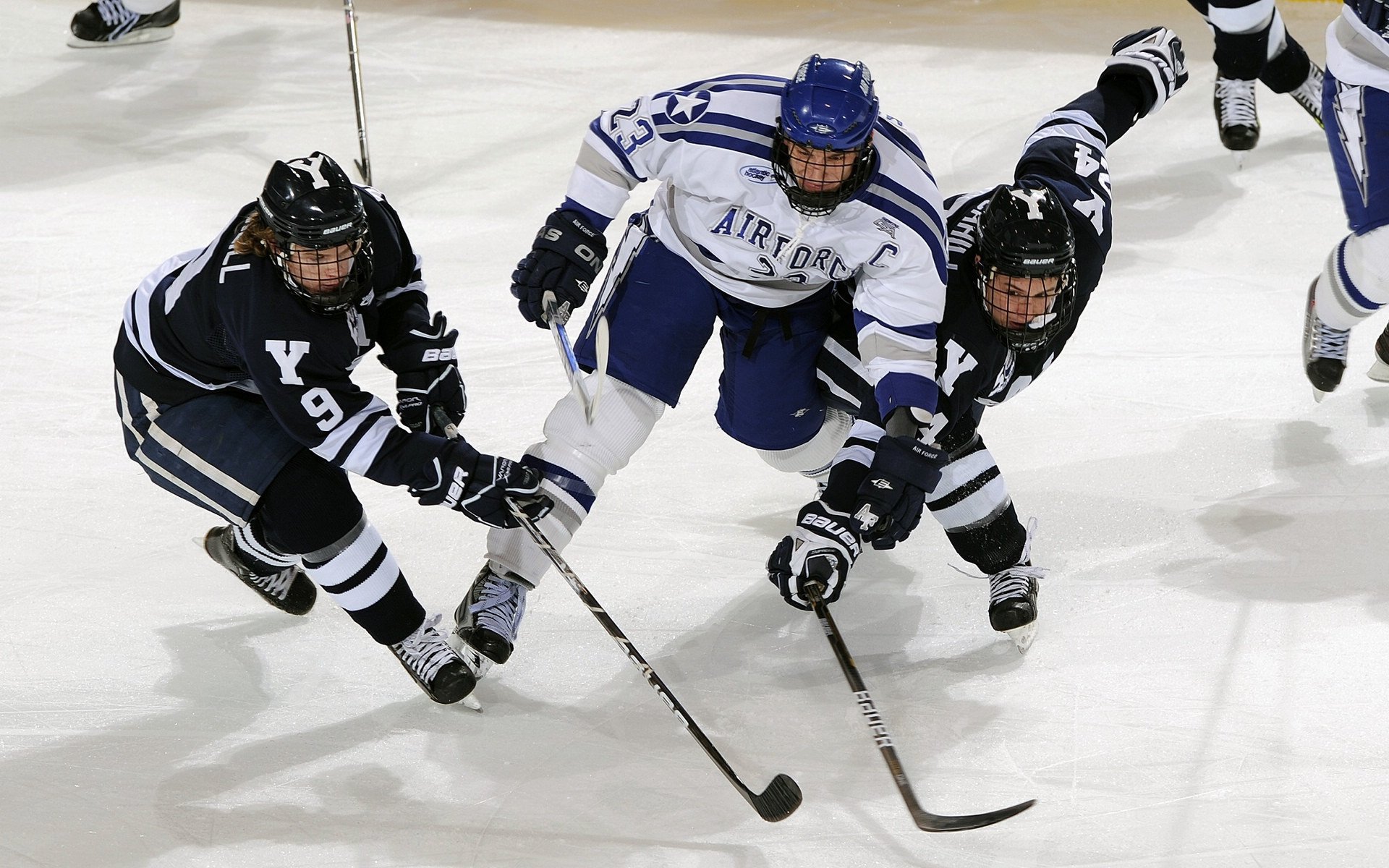 山地飞跃——高空绳索攀爬赛引人入胜，高空攀岩绳索上升工具用法
