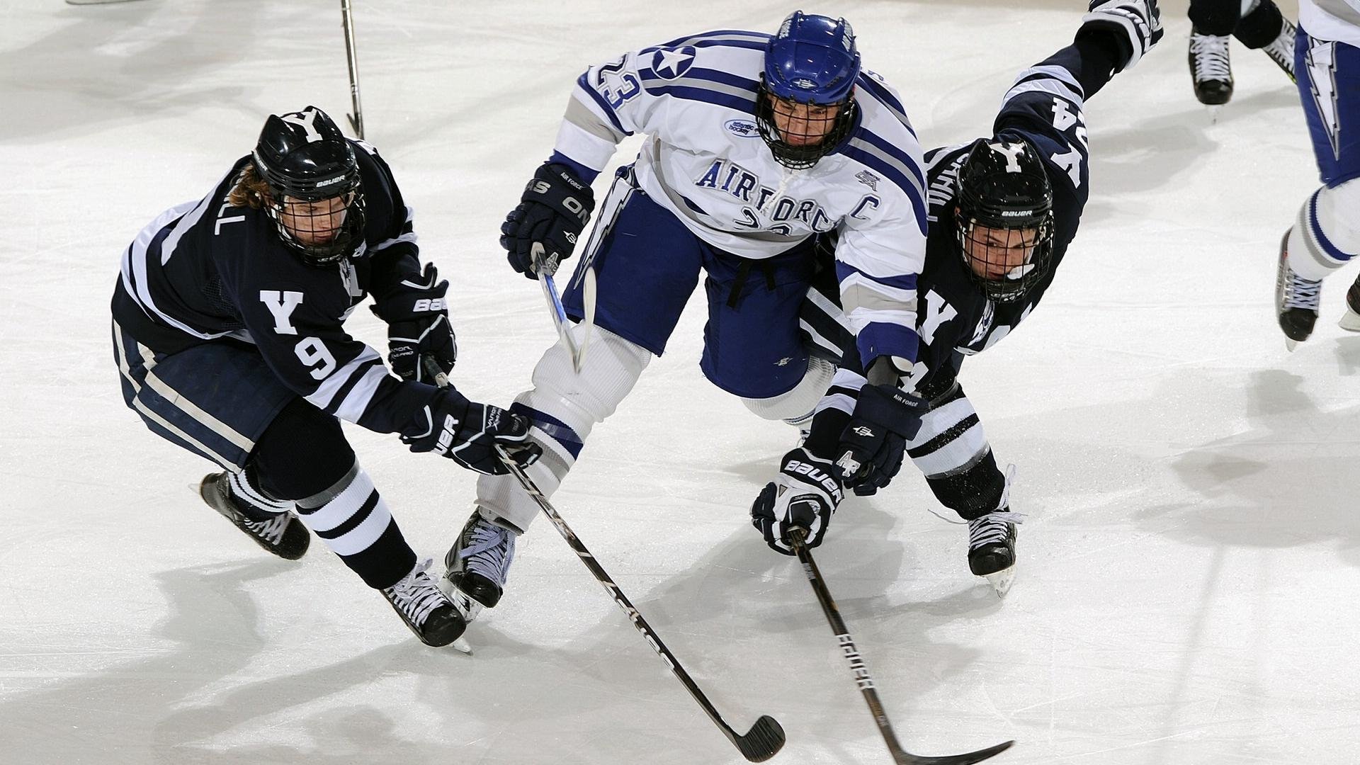 最受欢迎的赛道top10榜单出炉，最火赛道