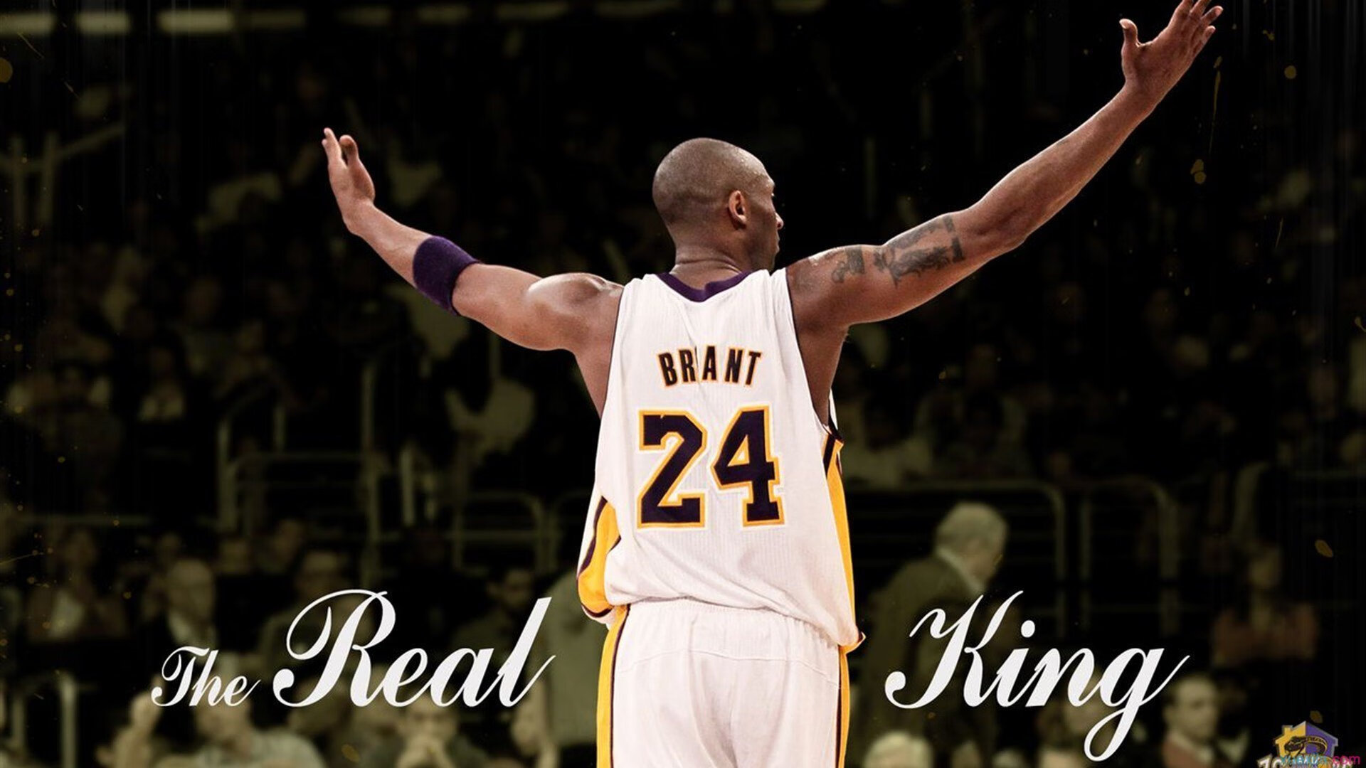 比赛回顾:精彩瞬间一网打尽,精彩不断!,赛事精彩瞬间