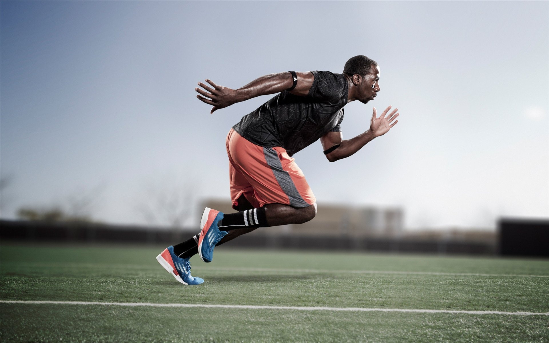 香港篮球联盟举办国际邀请赛，交流提升，香港篮球联赛得分王